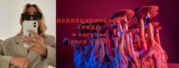 прущие крисы Инсар