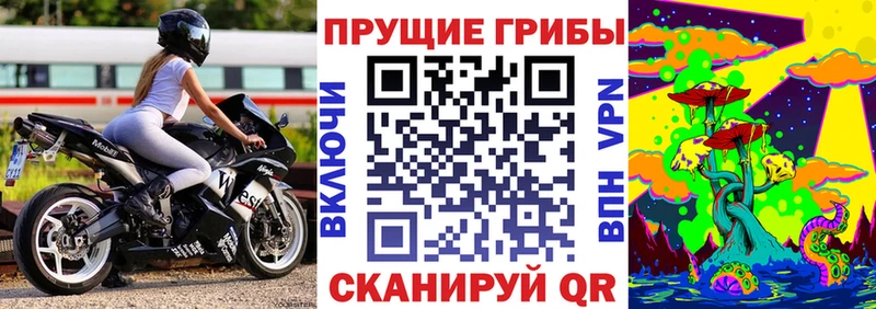 Купить  Высоцк  Галлюциногенные грибы Cubensis 